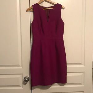 Raspberry J Crew Wool and silk dress sz 4